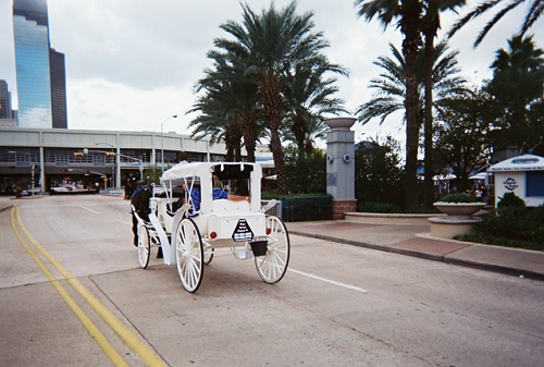 Downtown Houston Horse Drawn Carriages