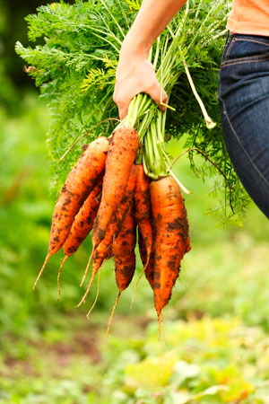 Lost Engagement Ring Found on a Carrot
