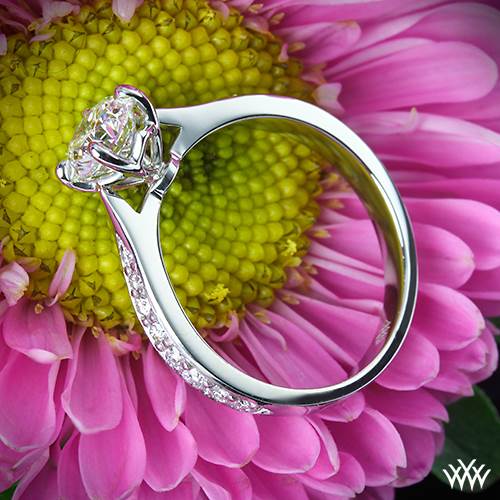 Pave Engagement Rings