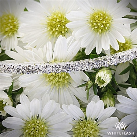 Gorgeous Diamonds, Great Price, & Outstanding Service!
