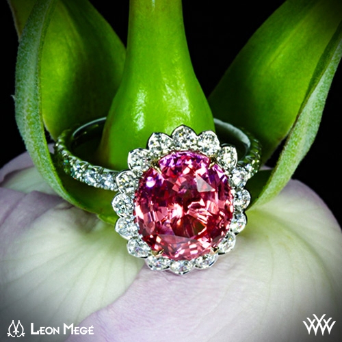 "Imperial Lotus Padparadscha Halo" Right Hand Ring Ring Style Photo