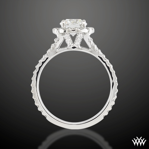 Ring Side View
