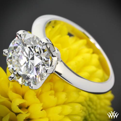 Ring Setting Types: Prong