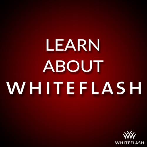 Things You Didn’t Know About Whiteflash
