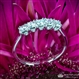 5 Stone Surprise U-Prong Diamond Wedding Ring