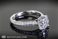 Caroline Pave Diamond Engagement Ring