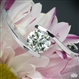 Lilly Solitaire Engagement Ring