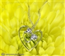 One Heart For Two Diamond Pendant