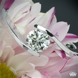 Lilly Solitaire Engagement Ring