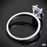 Customized Guinevere Solitaire Engagement Ring