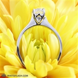 Comfort Fit Suprise Diamond Engagement Ring