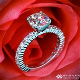 Diamonds for an Eternity 3/4 Diamond Engagement Ring