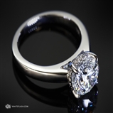 Full of Suprises Solitaire Engagement Ring