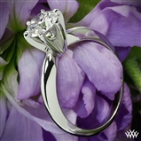 6 Prong tiffany style Solitaire Engagement Ring