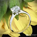 Platinum Legato Sleek Line Solitaire Engagement Ring
