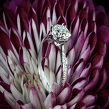 Sleek Line Pave Diamond Engagement Ring