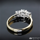 Three Stone Trellis Engagement Ring