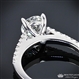 White Gold Petite Open Cathedral Engagement Ring