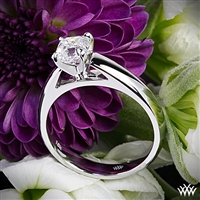 3422_Cathedral-Solitaire-Engagement-Ring-in-18k-White-Gold-by-Whiteflash_34851_g.jpg
