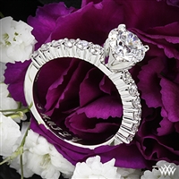 Diamonds for an Eternity 1/2 Diamond Engagement Ring | 1386