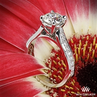 3563_Cathedral-Pave-Diamond-Engagement-Ring-in-Platinum-by-Whiteflash_36118_g-2.jpg