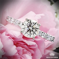 3647_Diamonds-for-an-Eternity-Diamond-Engagement-Ring-in-Platinum-by-Whiteflash_36613_g-2.jpg