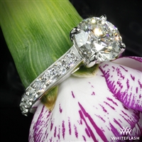 3689_Magnolia-Diamond-Engagement-Ring-in-Platinum-by-Whiteflash_37370_g.jpg