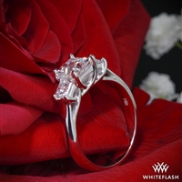 3764_Trellis-3-Stone-Engagement-Ring-for-Princess-in-18k-White-Gold-by-Whiteflash_38682_g.jpg