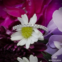3824_Petite-Diamond-Wedding-Ring-in-18k-White-Gold-by-Whiteflash_39513_g.jpg