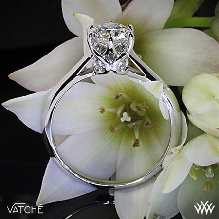 Blue Nile Product or Vatche Swan Ring at Whiteflash: The personal touch does make the difference!