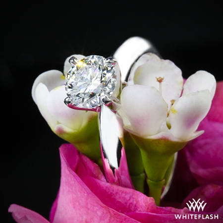 Whiteflash  ACA Diamond has that little bit extra "something special"