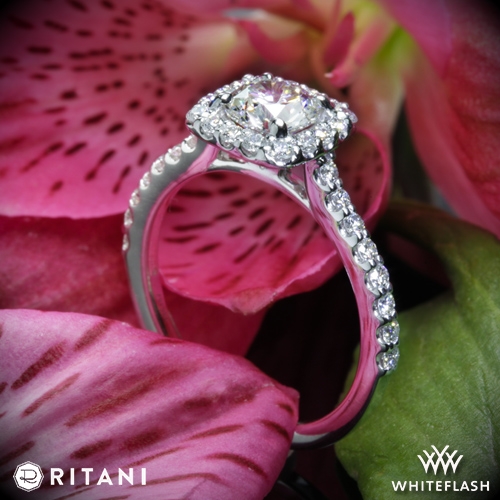 Ritani 1RZ1321 French-Set Cushion Halo Diamond Band Engagement Ring