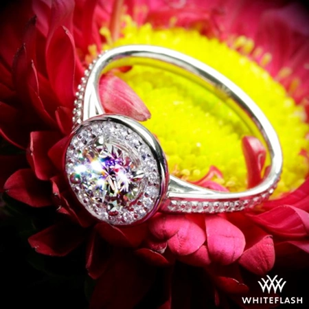 Halo Prong Diamond Engagement Ring