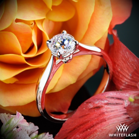 We keep starring at the ring