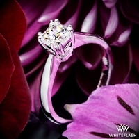 Semi Custom Contemporary Solitaire Engagement Ring for Princess