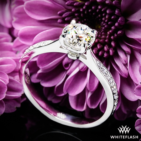 A Perfect Ring for a Perfect Companion