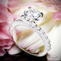 Diamonds for an Eternity Half Diamond Engagement Ring