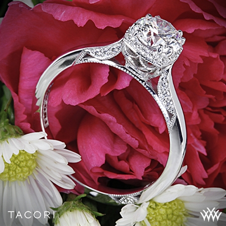 Tacori 2620RD Dantela Crown Complete Solitaire Engagement Ring