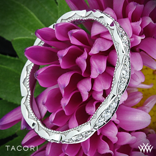 Tacori crescent on sale wedding band