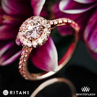 Ritani 1RZ1323 French-Set Halo Diamond Engagement Ring