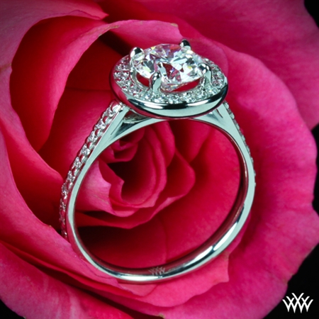 Halo Prong Diamond Engagement Ring