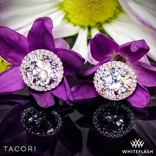 Tacori dantela hotsell earrings