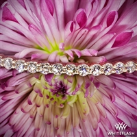 Shared-Prong Diamond Bangle