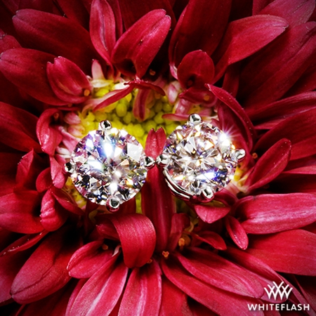 The earrings were a big hit!