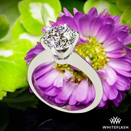 What shines even brighter is the amazing team at Whiteflash. You