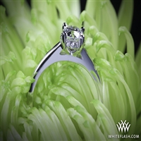 "Full of Suprises" Diamond Engagement Ring