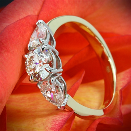 The Most Beautiful Ring in the World