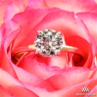 Semi Custom Promettre Solitaire Engagement Ring