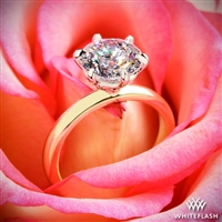 Semi Custom Valoria Six Prong Solitaire Engagement Ring