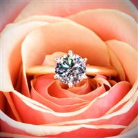 Semi Custom Classic 6 Prong Solitaire Engagement Ring